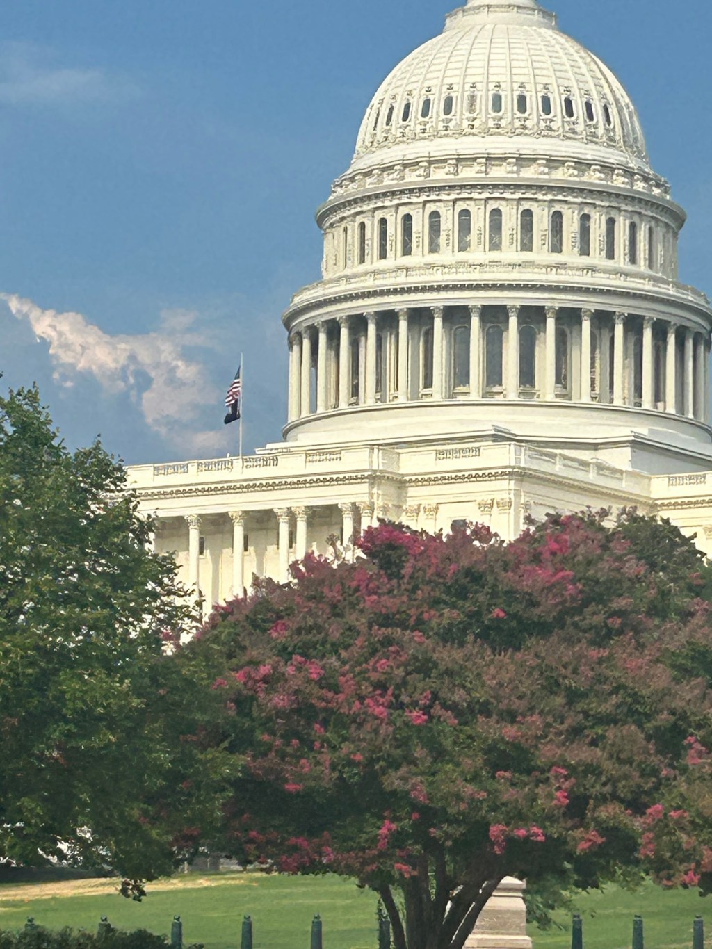 Living in the City, My Life in DC, the Nation’s&nbsp;Capital